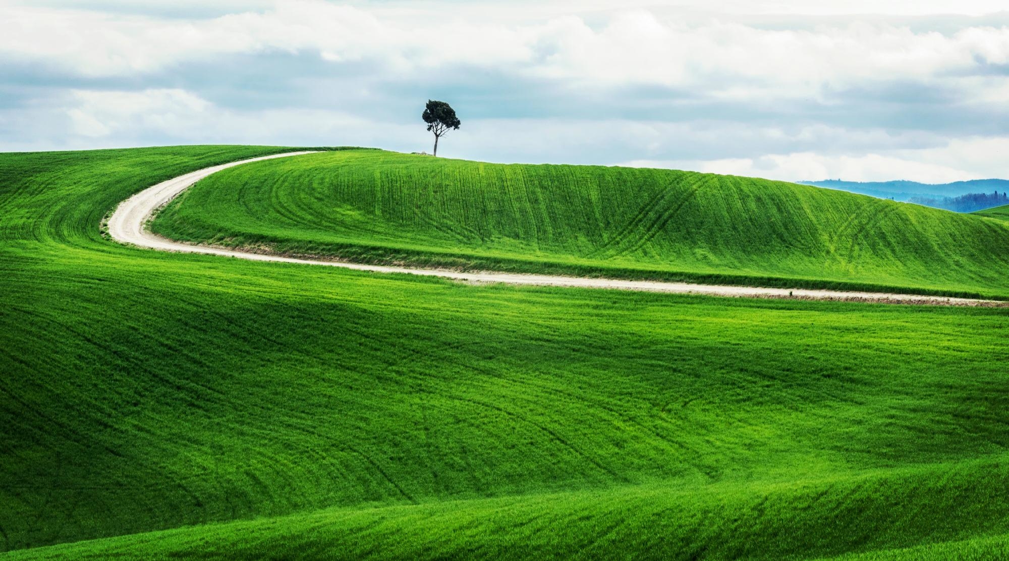 <a href="https://www.freepik.com/photos/tree">Tree photo created by wirestock - www.freepik.com</a>